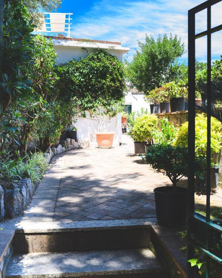 Bed and Breakfast Parco Augusto Capri Esterno foto