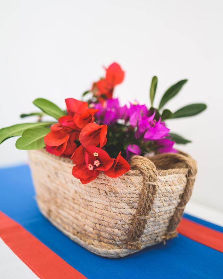 Bed and Breakfast Parco Augusto Capri Esterno foto